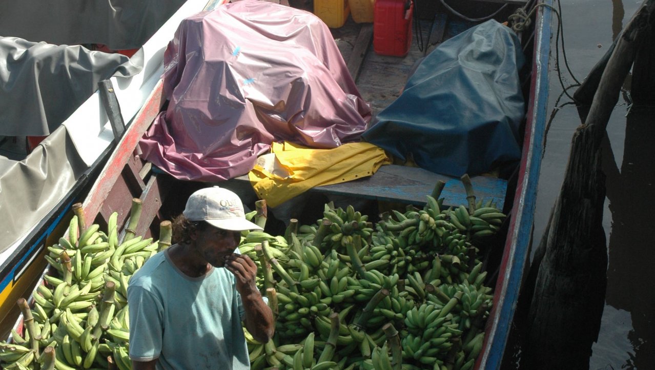Bananen op transport