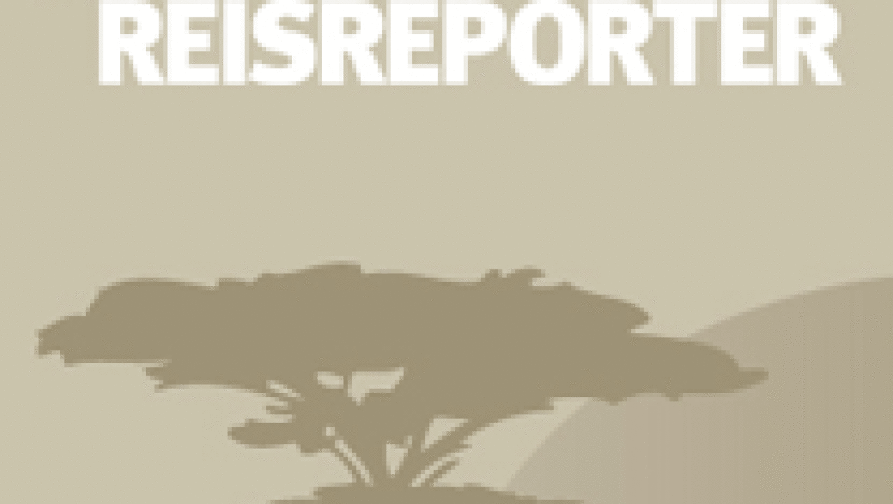 Al Hofuf: 3 miljoen palmbomen in historische oase middenin spectaculaire woestijn