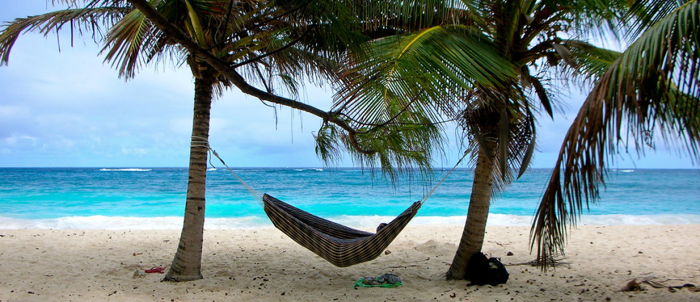 Oostkust Barbados image