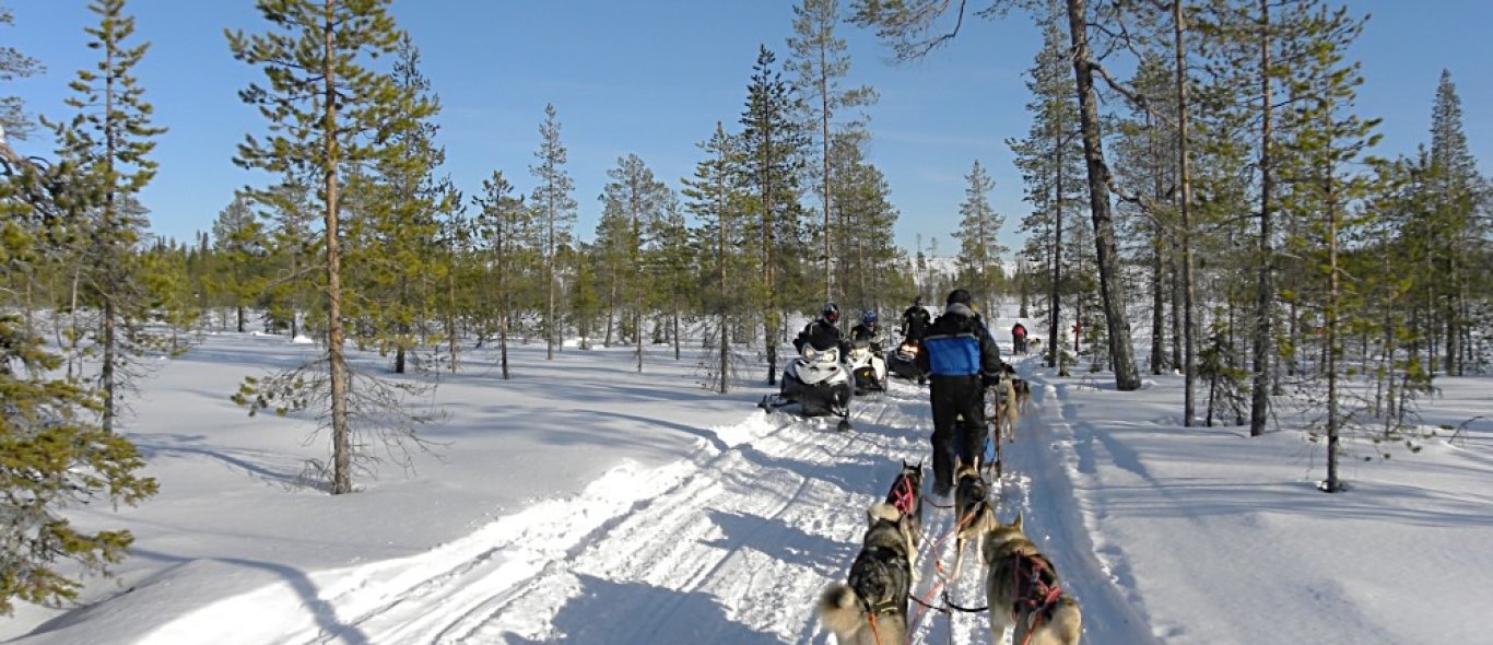 Lapland image