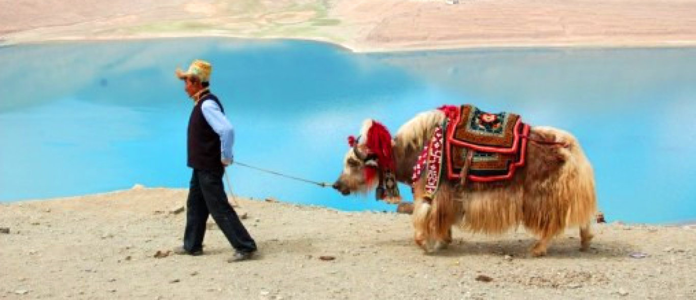 Tibet dicht voor toeristen image