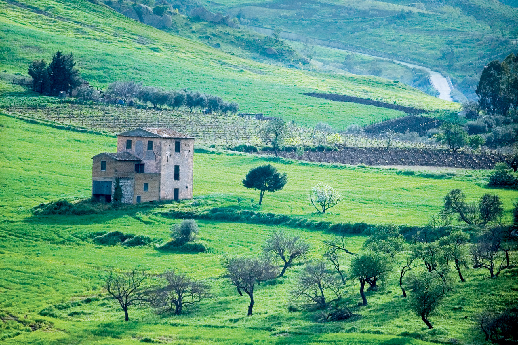 Het lieflijke landschap rondom het dorpje Sant' Angelo nodigt uit tot wandelen. Foto: Louise ten Have