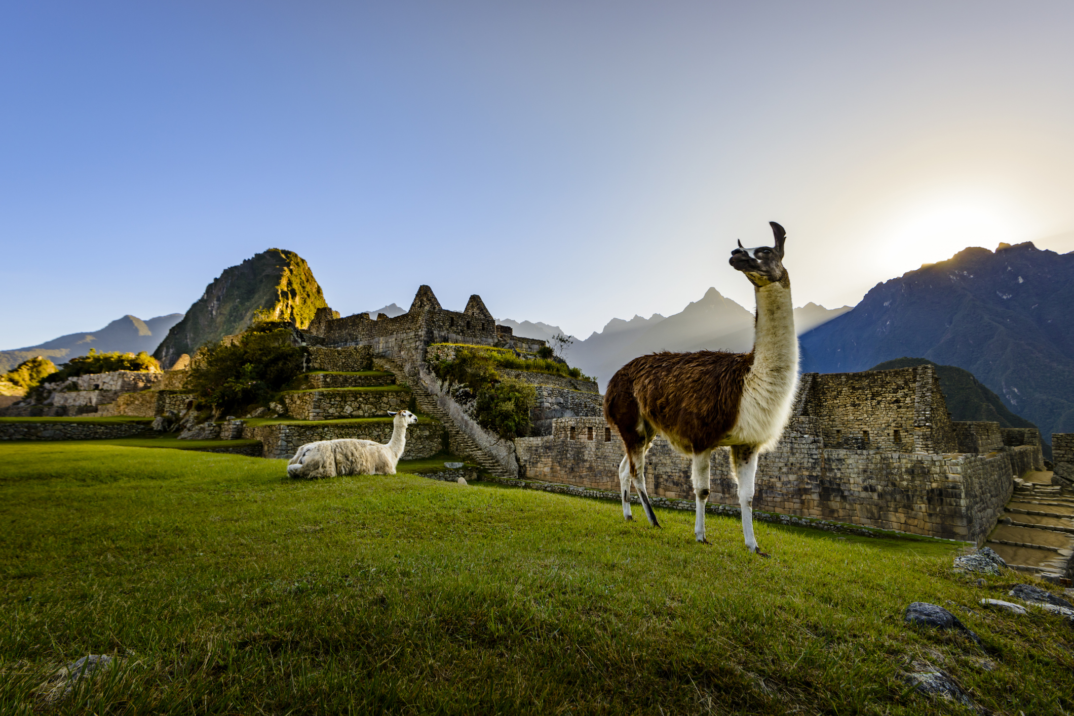 In Peru kun je vaak met de stroom meevaren, maar bij Machu Picchu vaar je dan onherroepelijk tegen een muur. Sinds enkele jaren werkt de overheid met een strikt ticketsysteem met tijdsloten. 