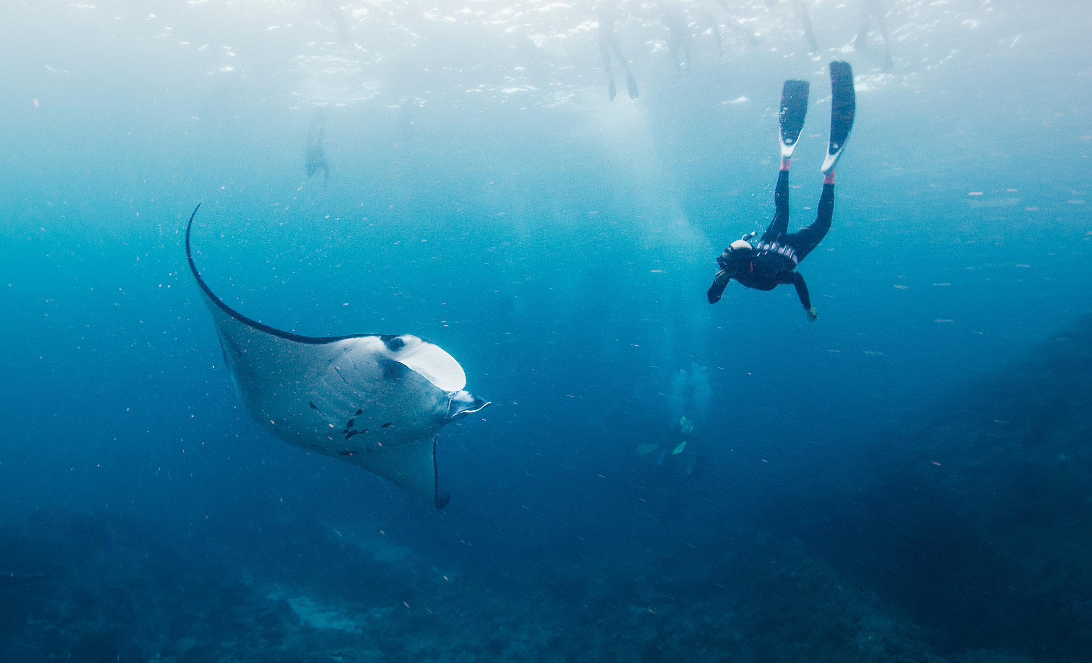 '‘Dáár’, wees de schipper van ons krakkemikkige vissersbootje na drie kwartier varen. Hij wees naar een aantal grote zwarte vlekken in Manta Bay, voor de kust van Nusa Penida. Ik schoof onmiddellijk mijn flippers om mijn voeten, zette mijn duikbril op, klemde mijn snorkel vast en sprong opgewonden in het water. Mijn hart maakte een sprongetje. Door mijn half beslagen duikglazen zag ik een stuk of tien reuzenmanta’s, die in alle rust om me heen zwommen en me tot op een halve meter naderden. Elk met een doorsnede van een meter of vier. Dit was wildlife kijken 2.0! Ook zwemmen met reuzenmanta’s? Regel dan een oversteek naar Nusa Lembongan of Nusa Penida en spreek ter plekke een lokale visser aan voor een privétour.' — Senior redacteur Tom Aussems