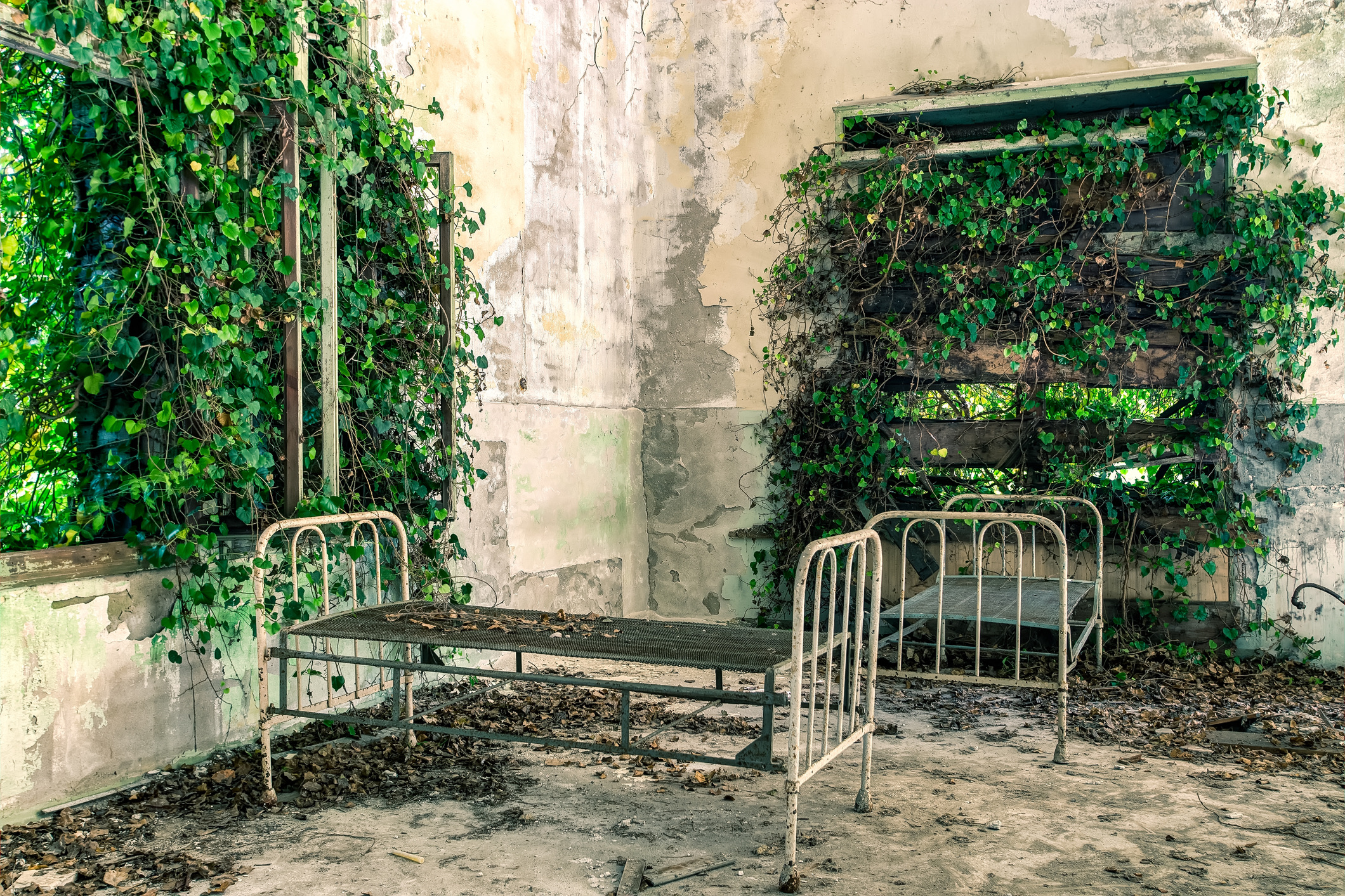 Vlak voor de kust van Venetië ligt Poveglia, een eilandje met een geschiedenis die leest als een nachtmerrie. In de achttiende eeuw diende het Italiaanse eiland als quarantainestation voor de pest. Honderdduizenden slachtoffers van de zwarte dood werden hier naartoe gebracht om te sterven, waarna hun lichamen in massagaven werden verbrand.