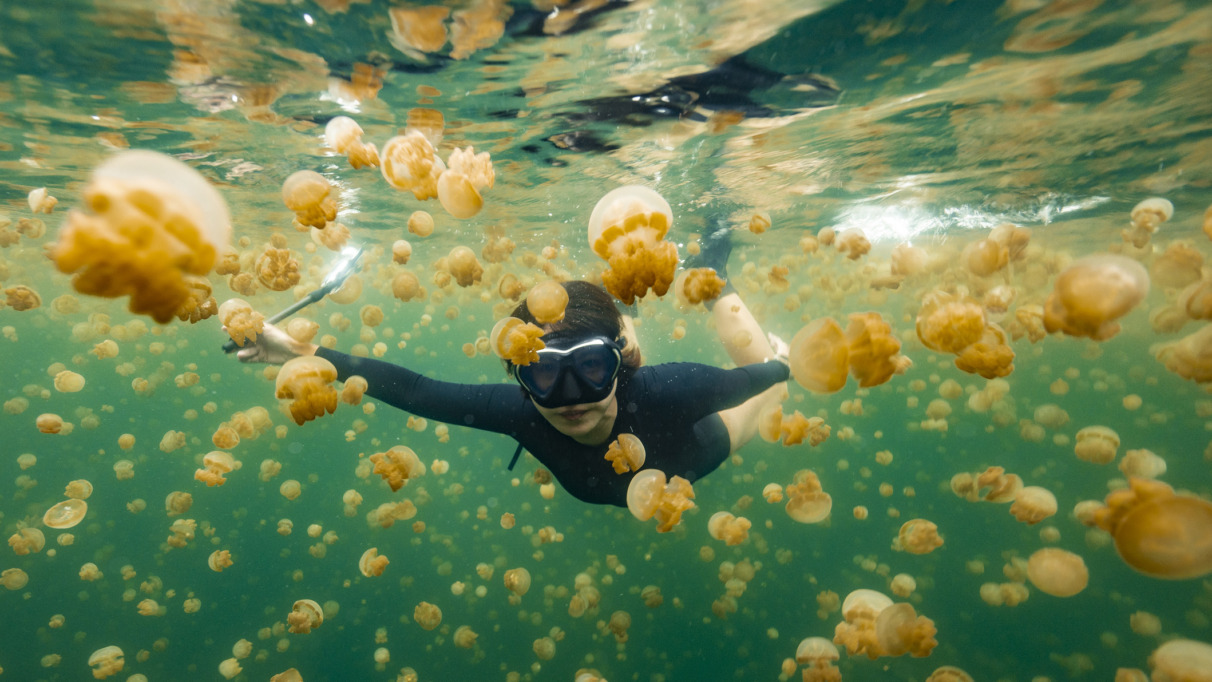 Vrouw zwemt tussen kwallen in Raja Ampat