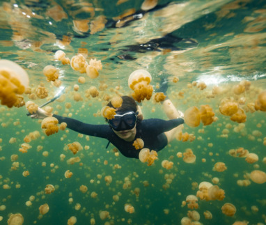 Vrouw zwemt tussen kwallen in Raja Ampat