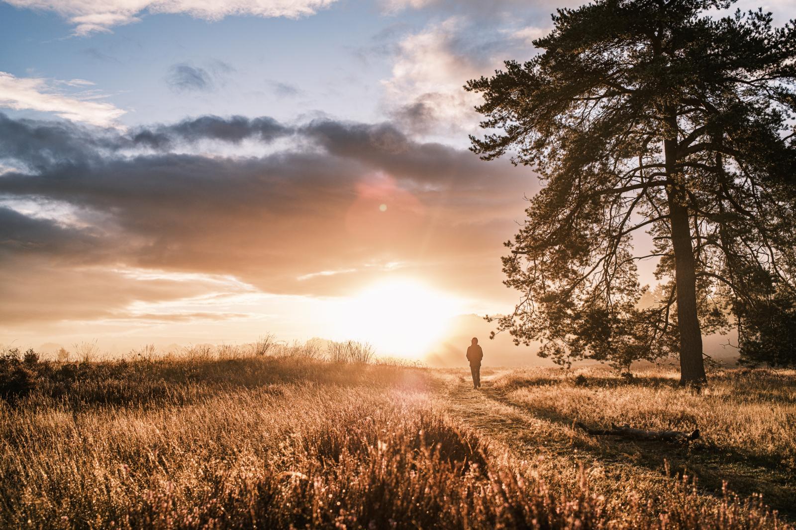 Het Holtingerveld, vlak bij Uffelte en Steenwijk, is het minder bekende zusje van het Drents-Friese Wold en het Dwingelderveld. Tijdens een wandel- of fietstocht door dit natuurgebied ervaar je een bijzonder afwisselend landschap, maar vooral ook pure rust. Een van de mooiste delen is een vennetje dat luistert naar de naam Brandeveen. Om het Brandeveen te bereiken wandel je eerst door het Oosterzand, dat net als het Westerzand geen zandverstuiving is maar een bos. Toen het gebruik van kudden Drentse heideschapen — die ook nu nog vrij rondlopen in het Holtingerveld — op zijn hoogtepunt was, werd zo veel heide afgegraasd dat de arme grond begon te verstuiven. Om dit proces tegen te gaan, werd later weer bos aangeplant.