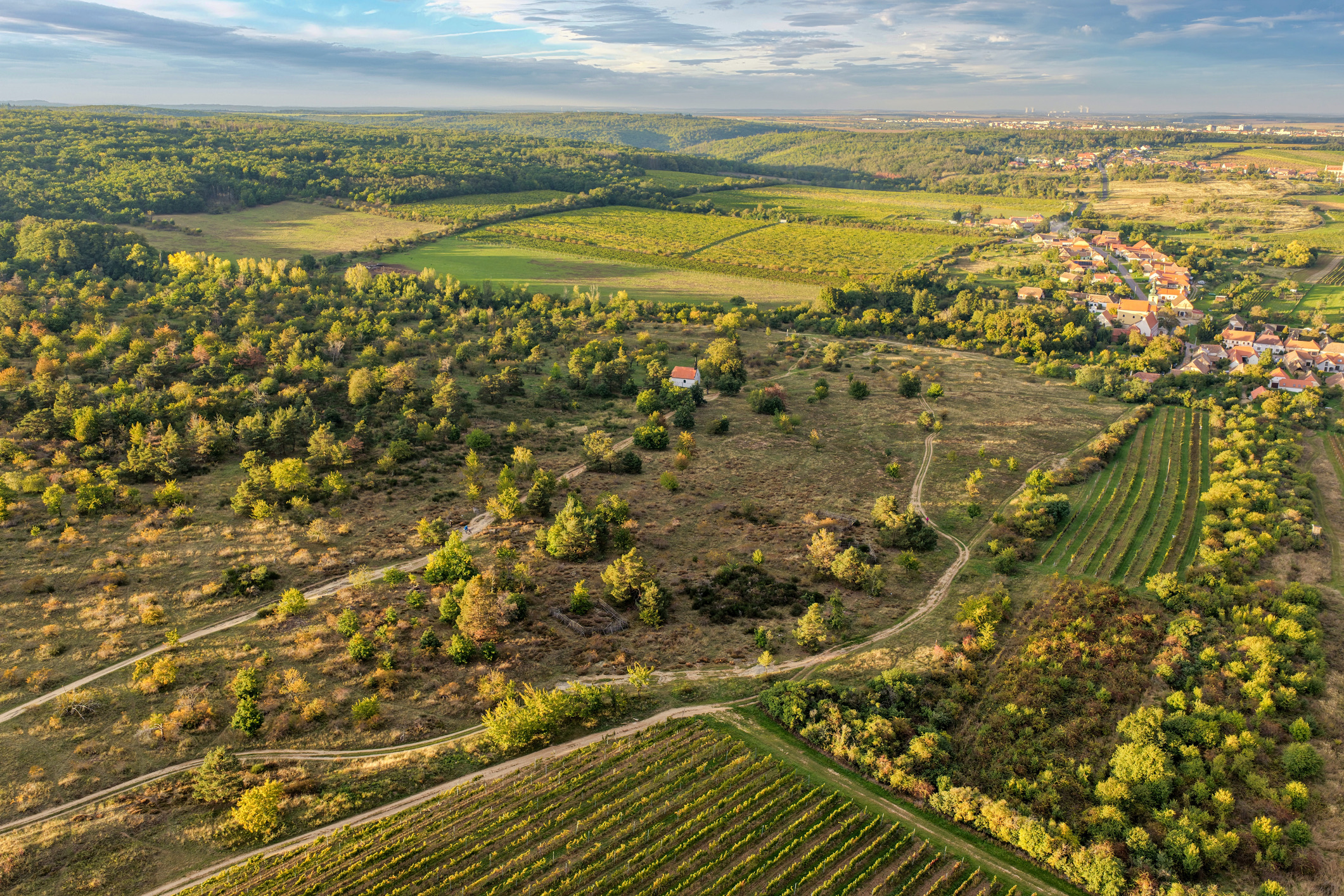 Tussen 1950 en 1990 werd er in Podyjí, het kleinste nationale park van Tsjechië, Wie is de mol? in het werkelijke leven gespeeld. Het natuurgebied maakte deel uit van het IJzeren Gordijn en vormde daarmee een gevoelige grenszone tussen Tsjechoslowakije en Oostenrijk.