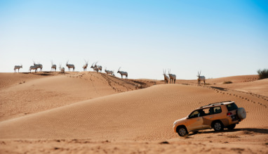 DET_Al Maha desert_1