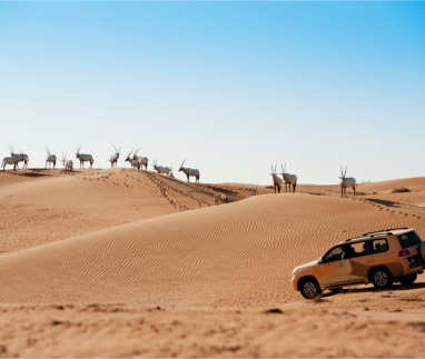 DET_Al Maha desert_1