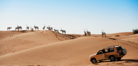 DET_Al Maha desert_1