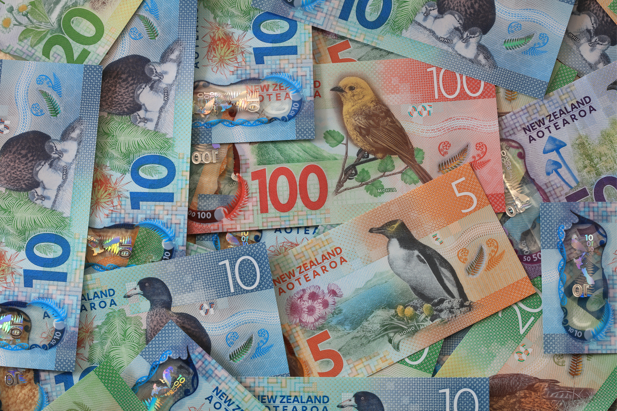 Nieuw-Zeeland: fooi geven is niet nodig