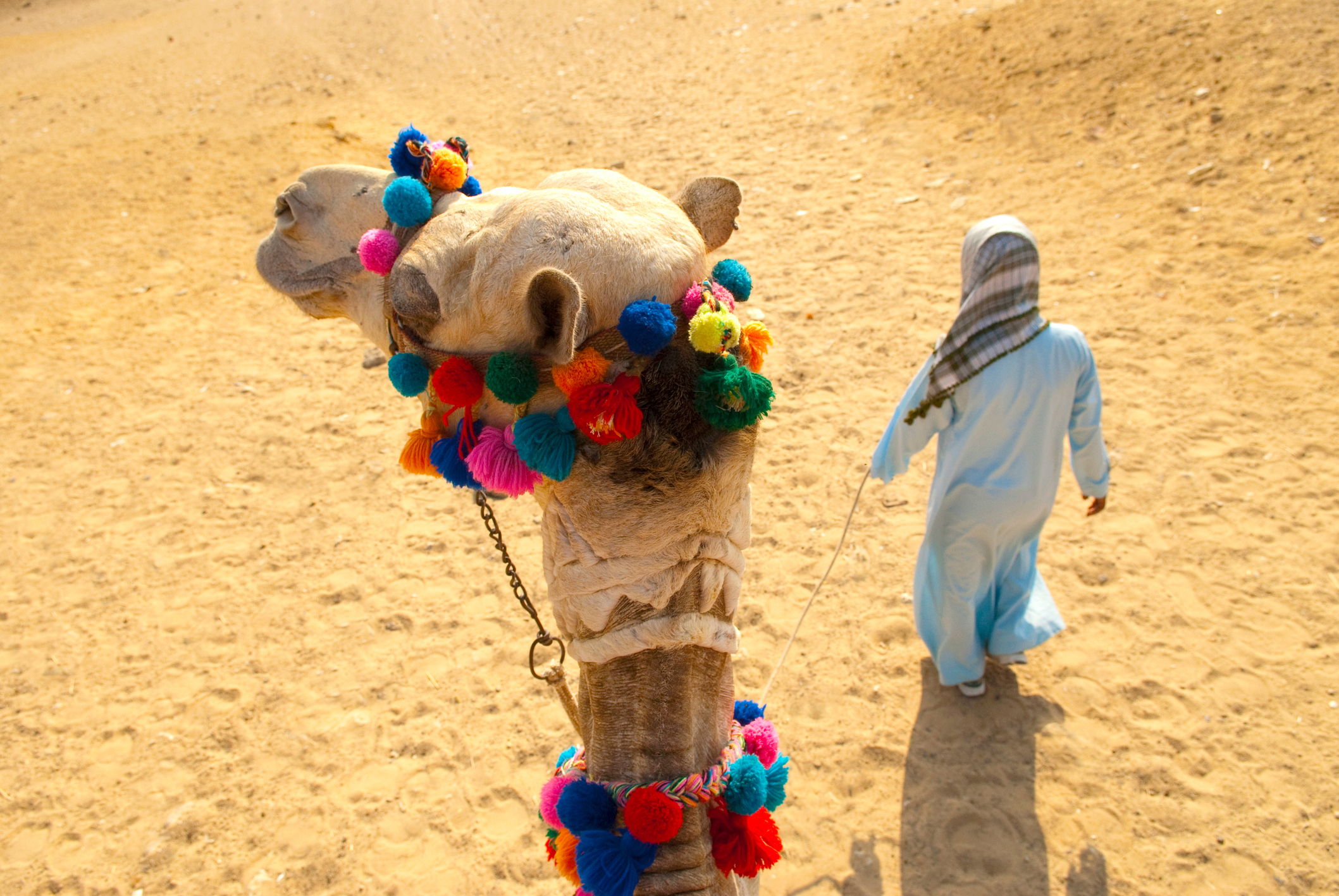 Egypte: bakshees is wijdverbreid en vaak verwacht