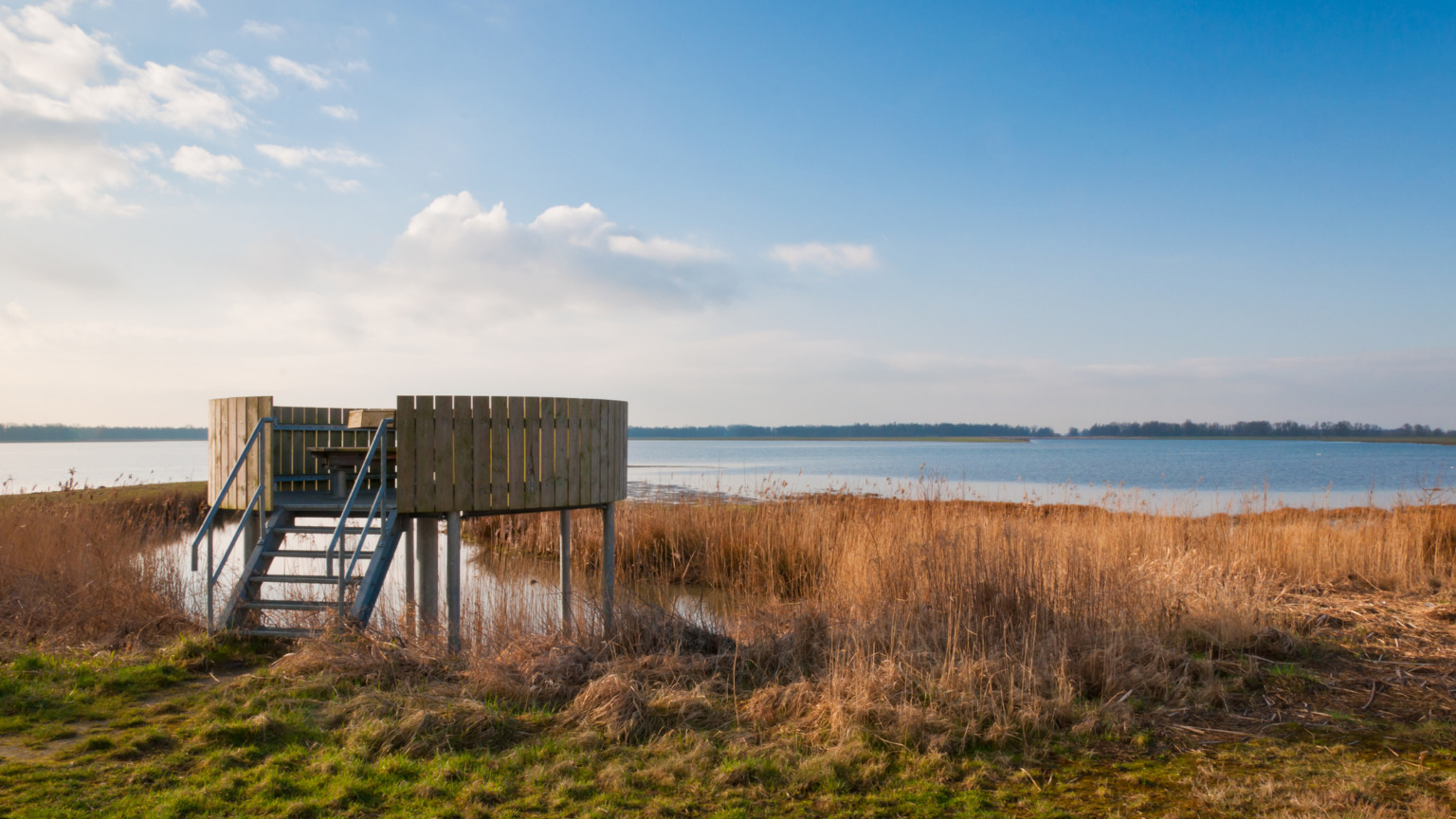 Paddenstoelen plukken in de Biesbosch, Noord-Brabant. Foto: Getty Images