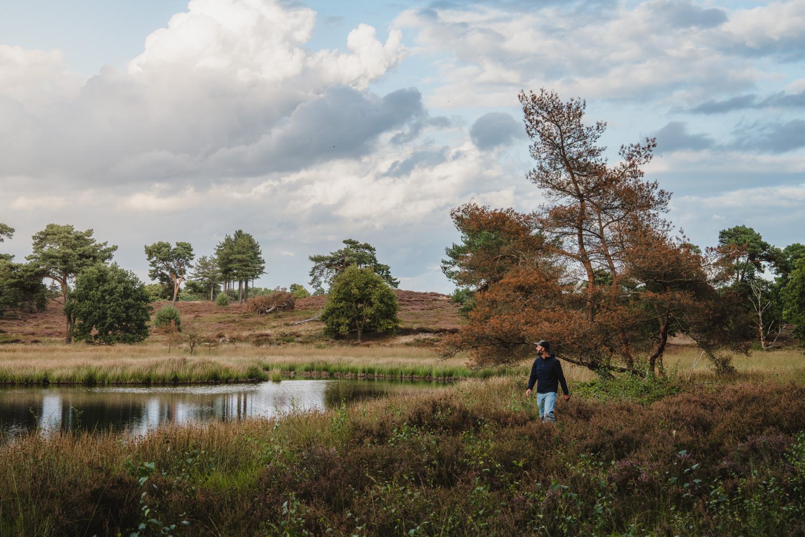 Nationaal Park de Maasduinen. Foto: Bjorn Snelders