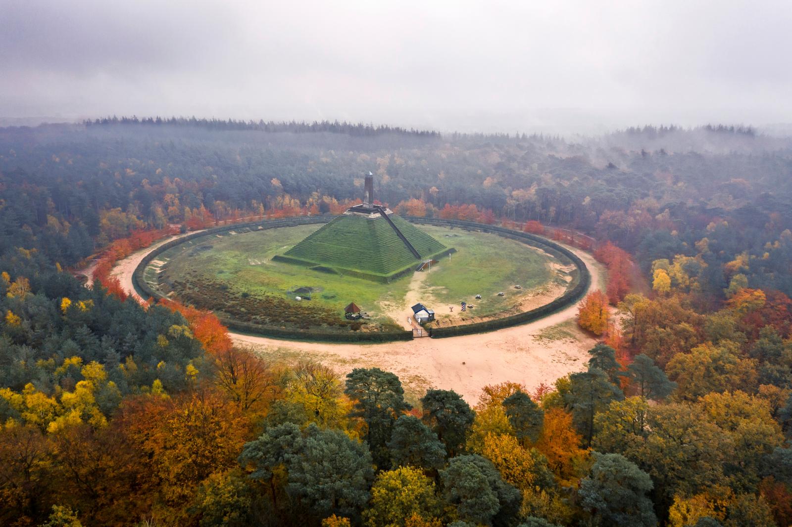 Paddenstoelen vinden op De Utrechtse Heuvelrug, Utrecht. Foto: Getty Images