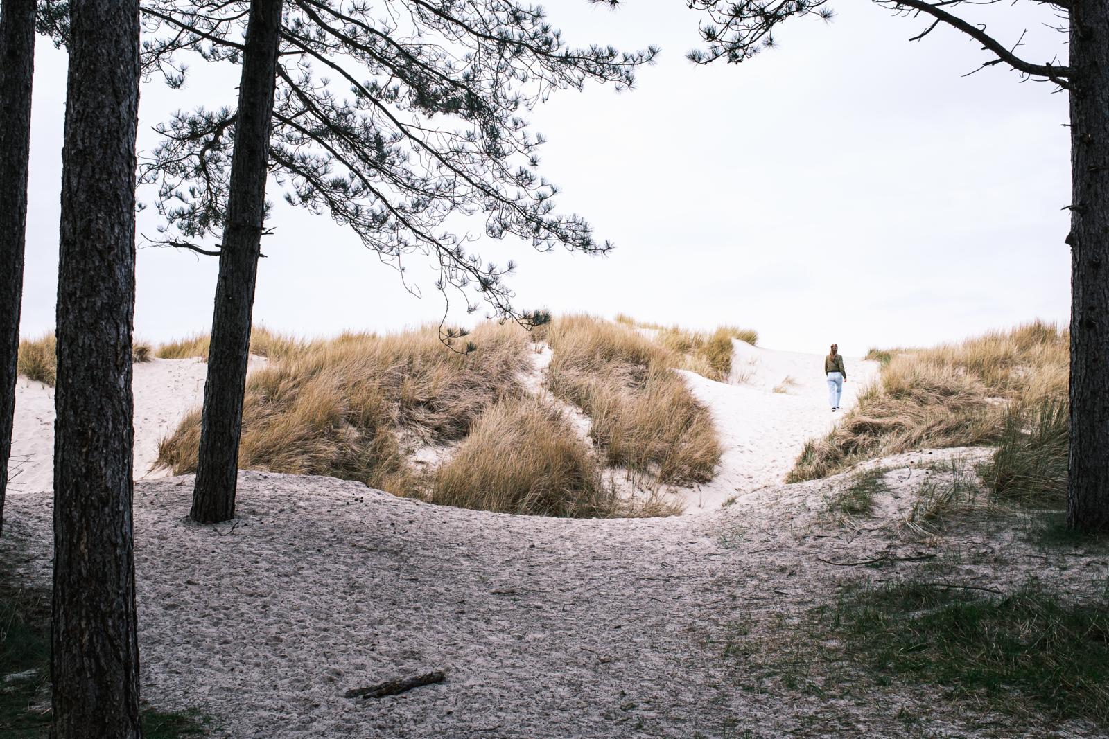 Schoorlse Duinen, Noord-Holland