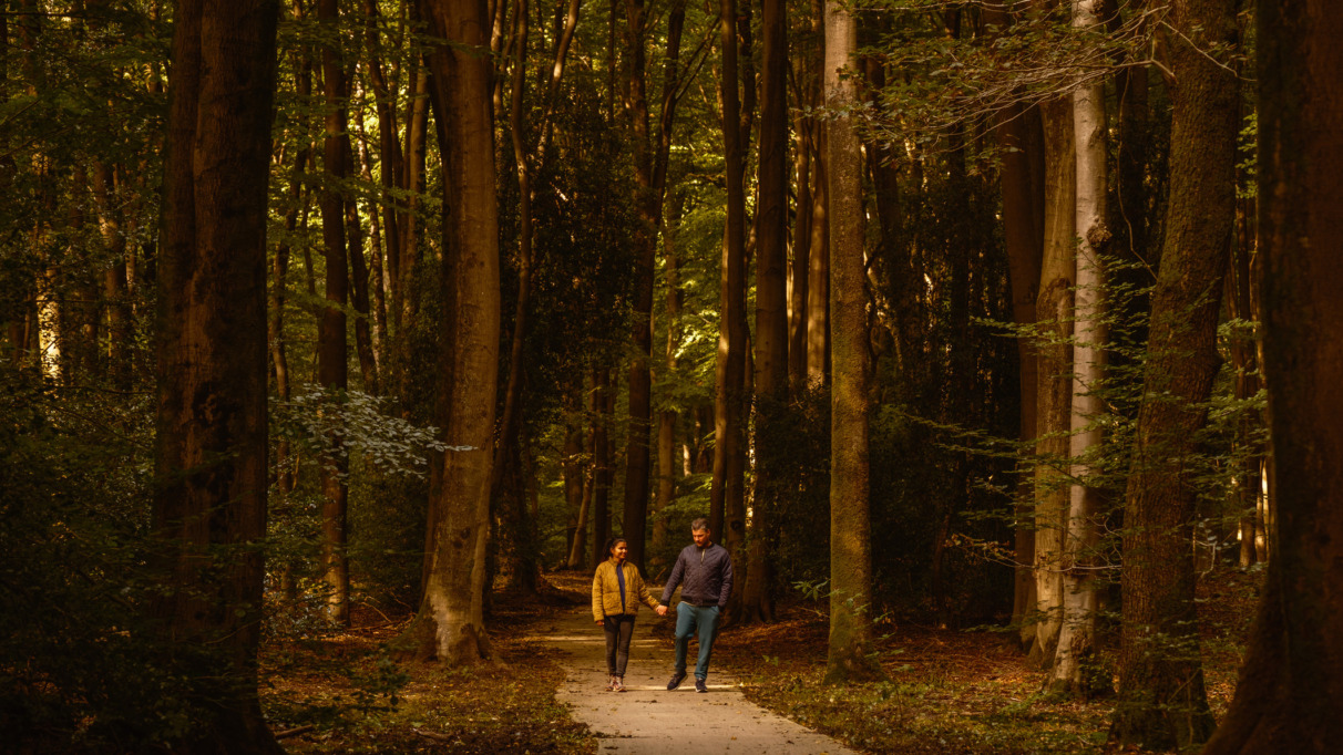 In het hart van de Veluwe wandelt een stel over de rustige, lommerrijke paden van het Speulderbos. De herfstbladeren zorgen voor een magische sfeer terwijl ze samen genieten van de schoonheid van de natuur in Nederland.