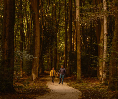 In het hart van de Veluwe wandelt een stel over de rustige, lommerrijke paden van het Speulderbos. De herfstbladeren zorgen voor een magische sfeer terwijl ze samen genieten van de schoonheid van de natuur in Nederland.
