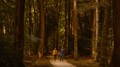 In het hart van de Veluwe wandelt een stel over de rustige, lommerrijke paden van het Speulderbos. De herfstbladeren zorgen voor een magische sfeer terwijl ze samen genieten van de schoonheid van de natuur in Nederland.