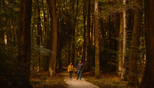 In het hart van de Veluwe wandelt een stel over de rustige, lommerrijke paden van het Speulderbos. De herfstbladeren zorgen voor een magische sfeer terwijl ze samen genieten van de schoonheid van de natuur in Nederland.