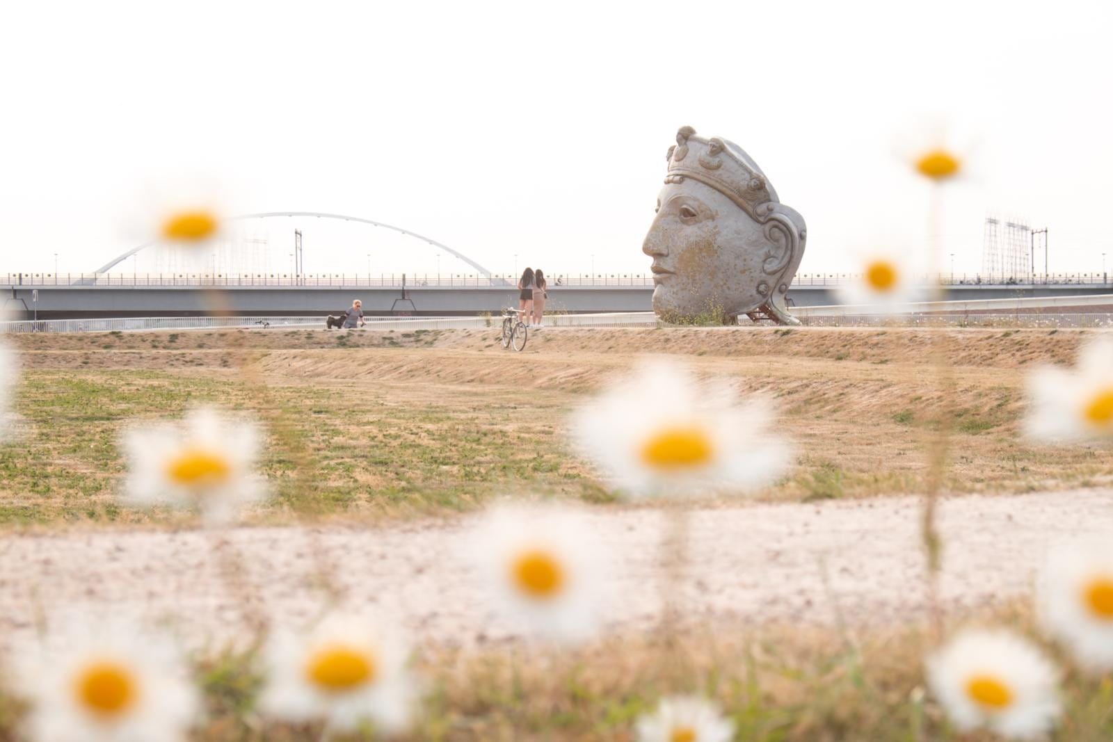 Eiland van Lent, Nijmegen. Foto: Simone Wittgen