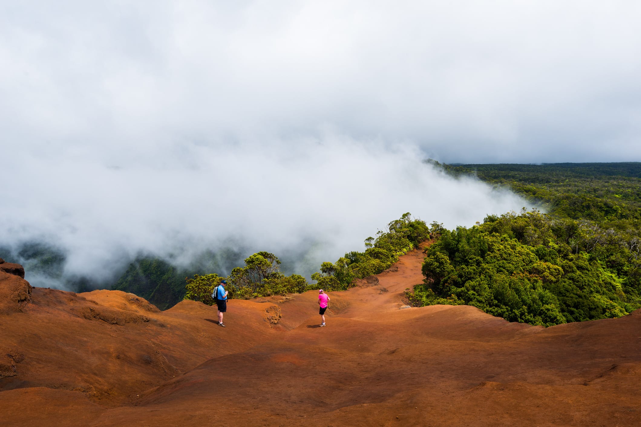 Akalai Swamp Trail. Hawai is prima in het regenseizoen te bezoeken. Foto: Getty Images