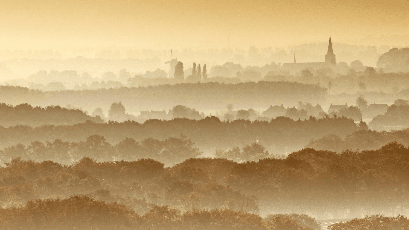 De Kaapse Bossen in Utrecht. Foto: ANP