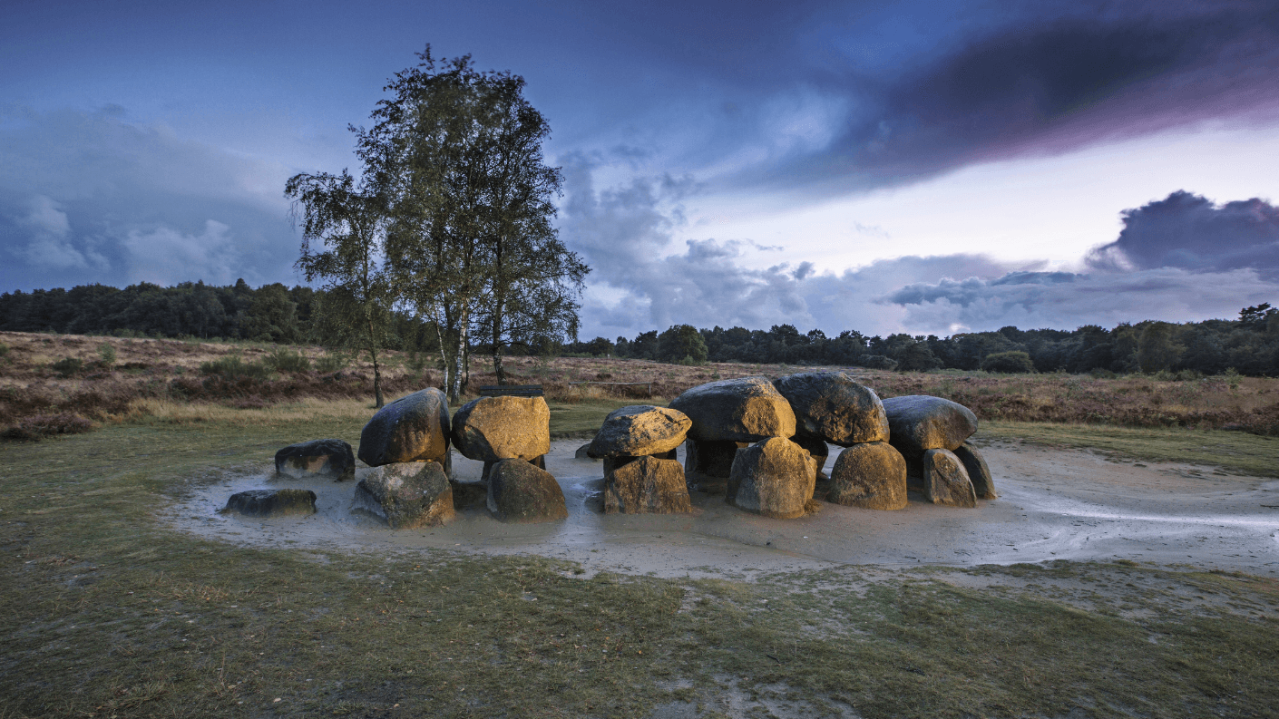 Holtingerveld in Drenthe. Foto: ANP
