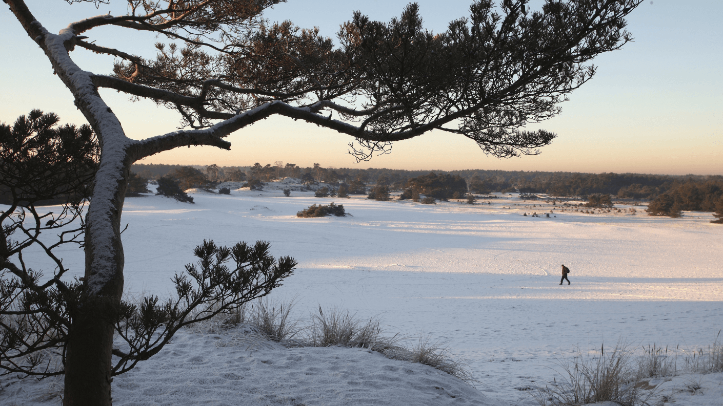 Hierdense Poort in Gelderland. Foto: ANP