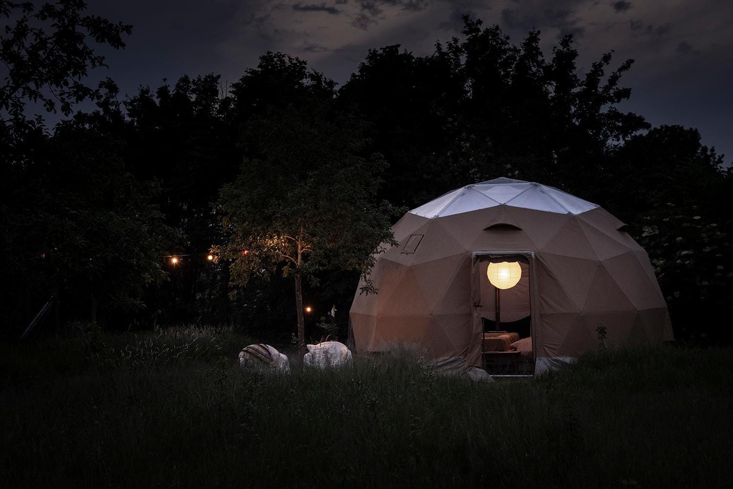 Dome - Nederland, natuurtuin. Waar het wondert. Foto: Rosemieke