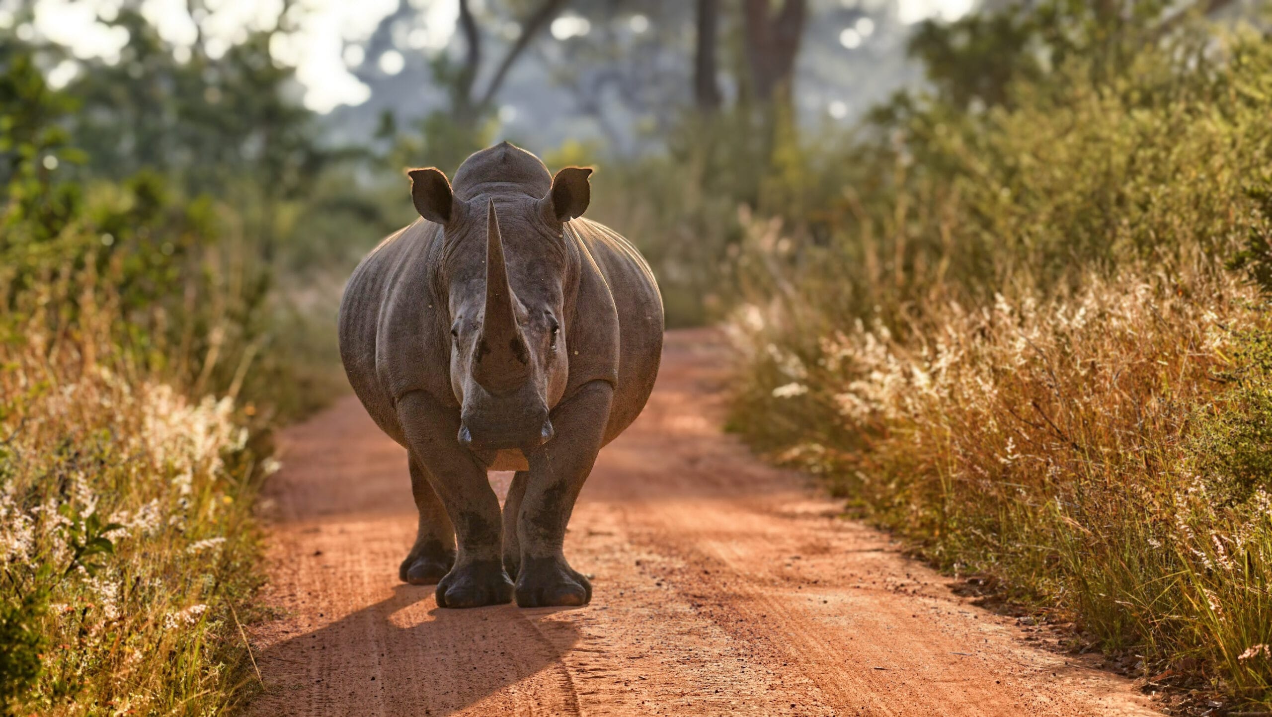 Mooiste landen ter wereld, op 10: Zuid-Afrika. Foto: Getty Images