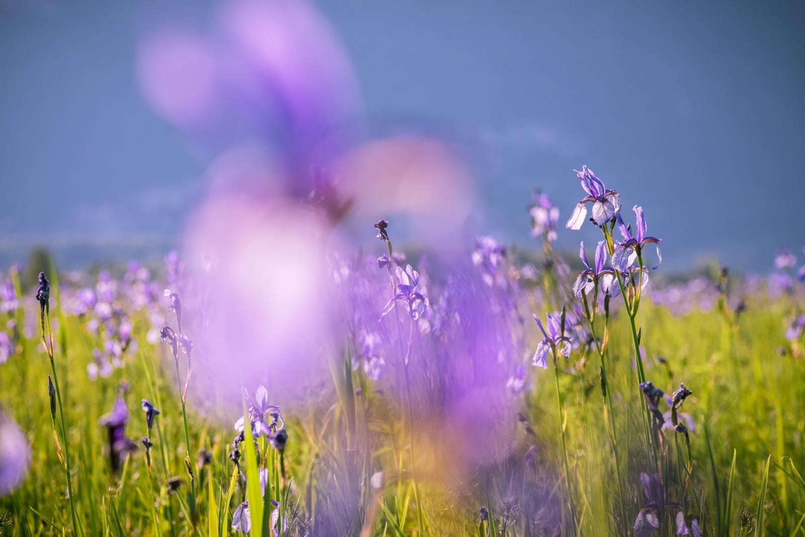 Rugell: een van de mooiste dorpen van Liechtenstein. Foto: Julian Konrad