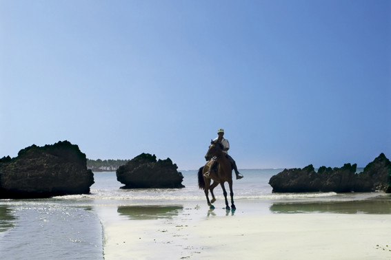 De stranden van het Dominicaanse schiereiland Samaná worden tot de mooiste ter wereld gerekend.
