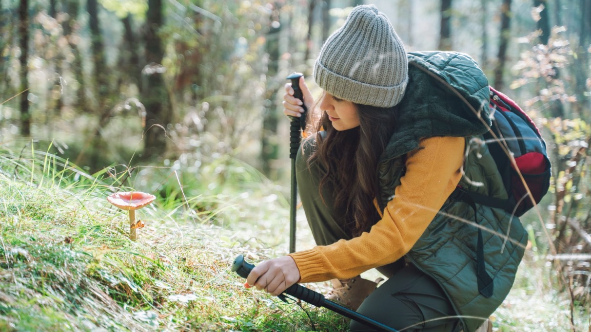 Vrouwelijke wandelaar bekijkt een paddenstoel in het bos