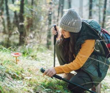 Vrouwelijke wandelaar bekijkt een paddenstoel in het bos