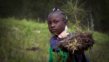 Haitian Students Breathe New Life into Depleted Pine Forest