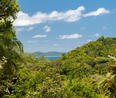 Vallee de Mai, Praslin, Seychelles