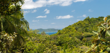 Vallee de Mai, Praslin, Seychelles
