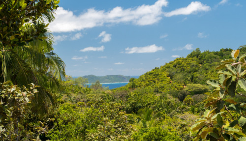 Vallee de Mai, Praslin, Seychelles