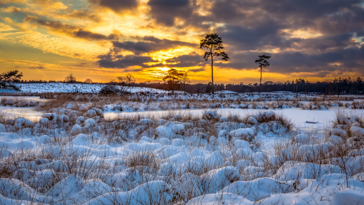 2021-01-24 - Koowijkerzand