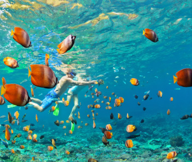 Happy couple snorkeling underwater over coral reef