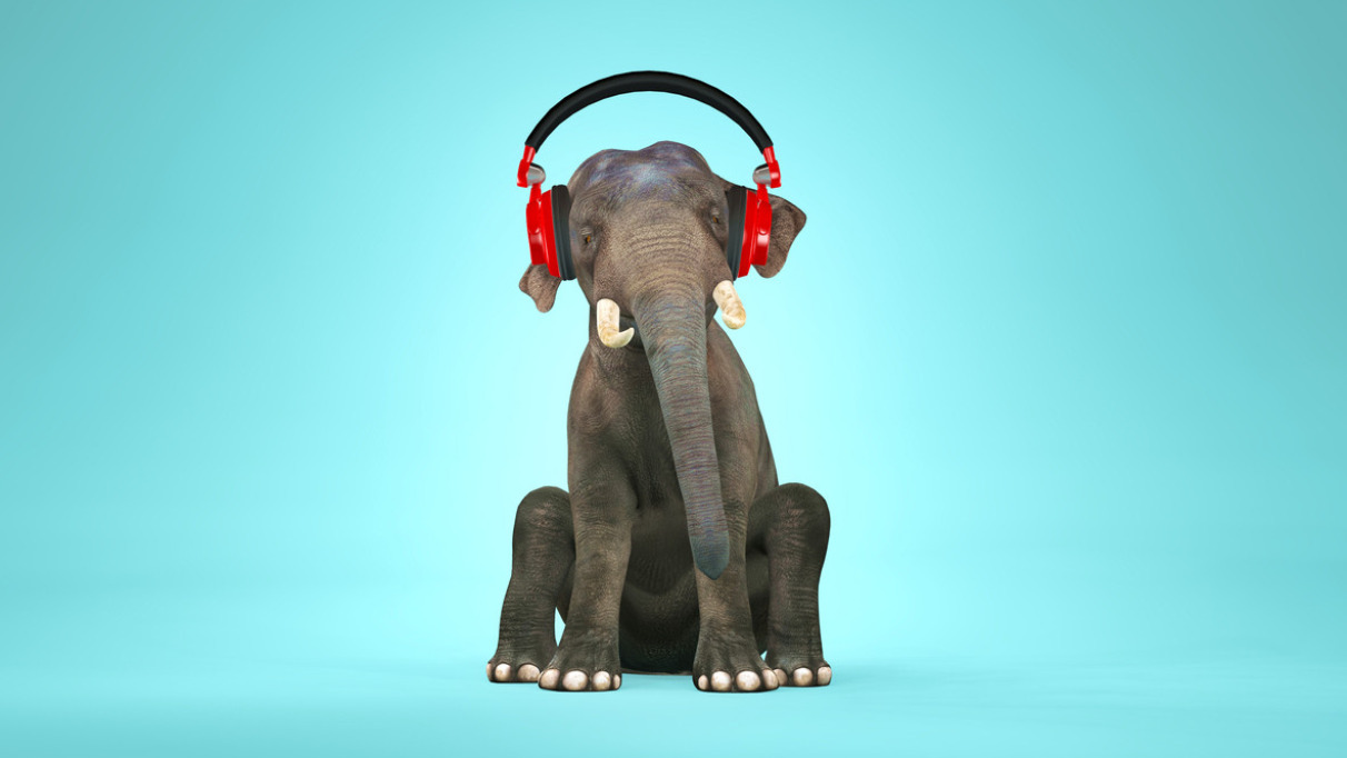 Elephant sitting down and listening music . 3d render