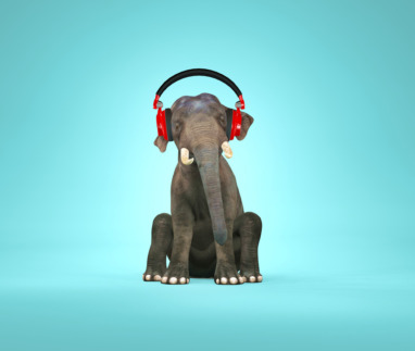Elephant sitting down and listening music . 3d render