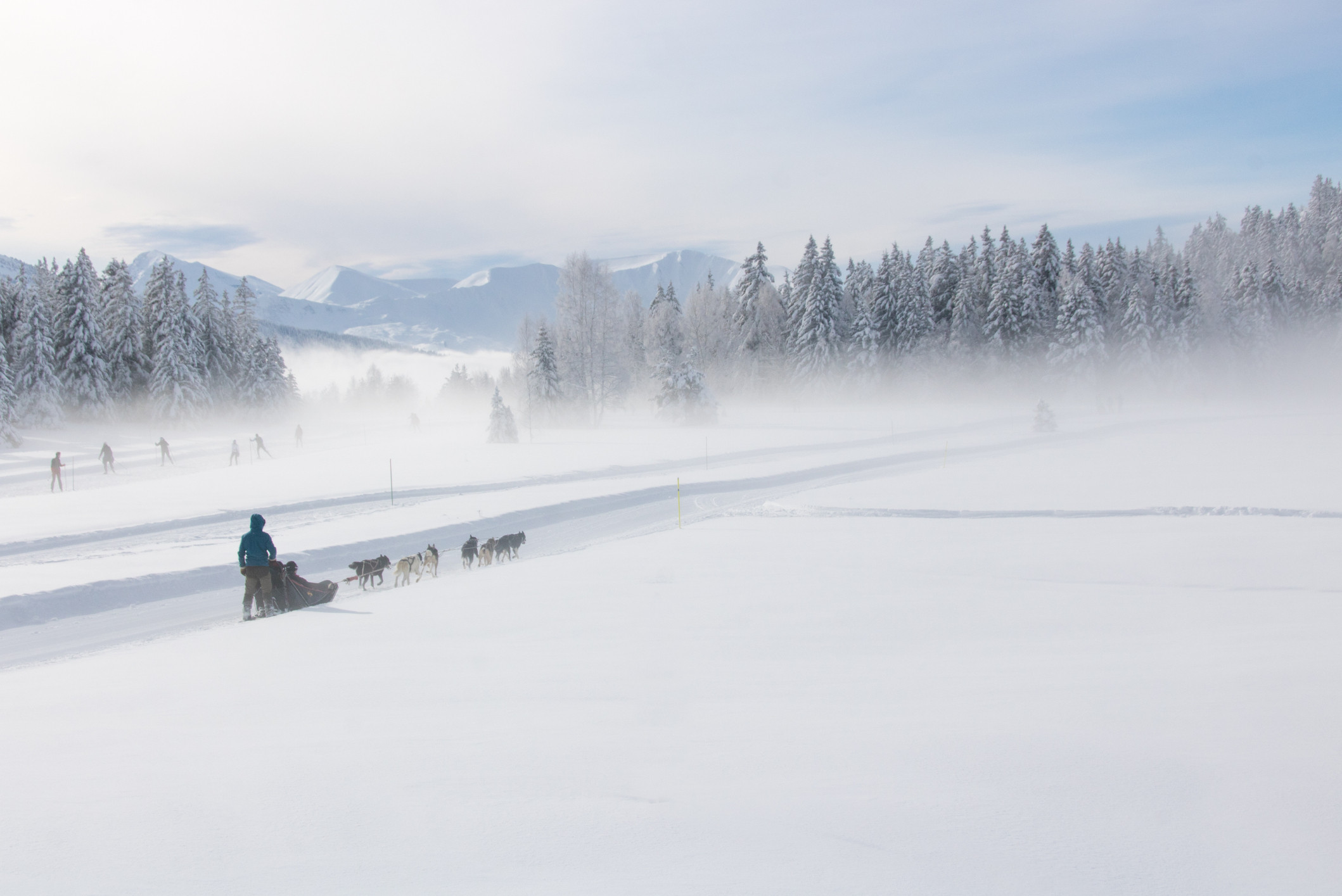 Scoor een volle bingokaart in Frankrijk. Foto: Getty Images