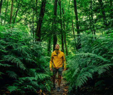 Reiziger in gele jas wandelt door weelderig groen tropisch bosEl Cubo de Galga in La Palma, Spanje