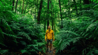 Reiziger in gele jas wandelt door weelderig groen tropisch bosEl Cubo de Galga in La Palma, Spanje
