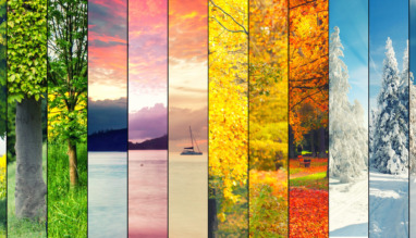 Visuele weergave van de vier seizoenen met natuur in lente, zomer, herfst en winter