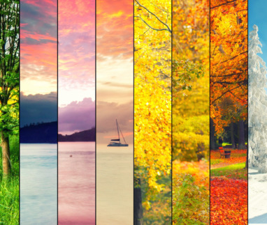 Visuele weergave van de vier seizoenen met natuur in lente, zomer, herfst en winter